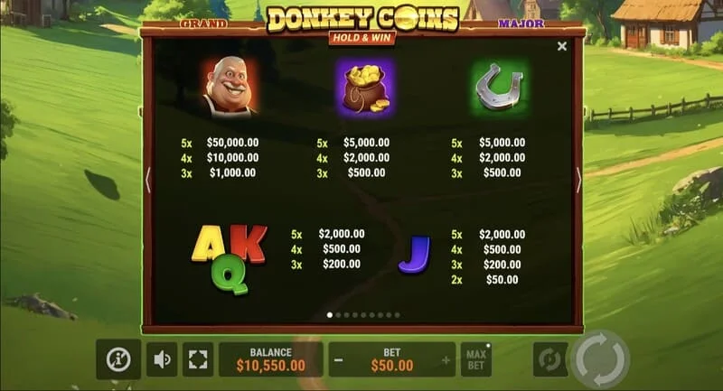 Donkey Coins Hold & Win - polje sa lepljivim Coin žetonima